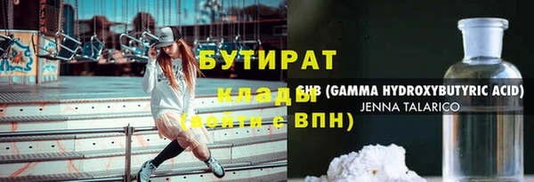 гашик Алексин