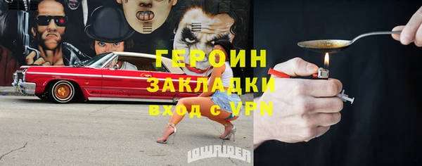 гашик Алексин