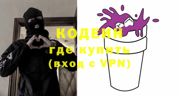 гашик Алексин