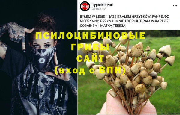 эйфоретик Фурманов