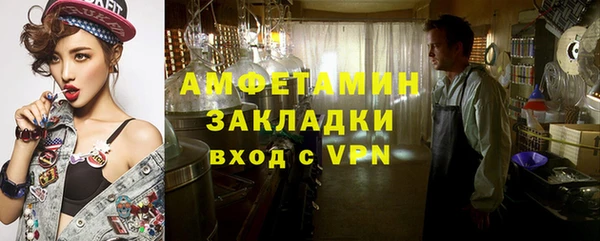 гашик Алексин