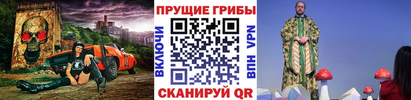 сайты даркнета Telegram  Алапаевск  Галлюциногенные грибы MAGIC MUSHROOMS 